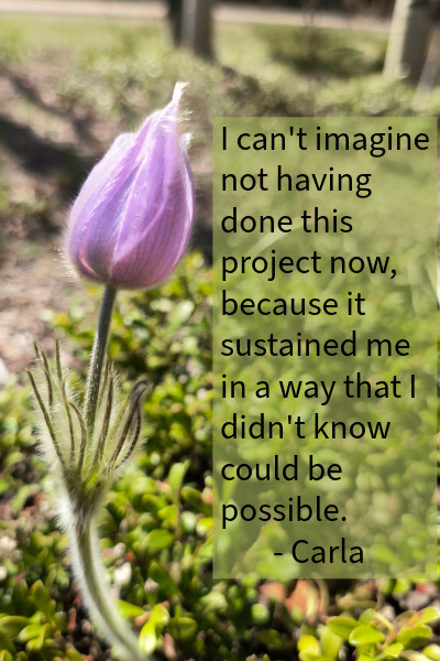 A crocus on a field of green. Text reads "I can't imagine not having done this project now, because it sustained me in a way that I didn't know could be possible. - Carla"