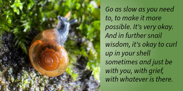 A tiny snail on half the image, the other half is green with text. "Go as slow as you need to, to make it more possible. It's very okay. And in further snail wisdom, it's okay to curl up in your shell sometimes and just be with you, with grief, with whatever is there."